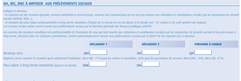 Formulaire 2042-C-PRO : Comment Remplir Cette Déclaration