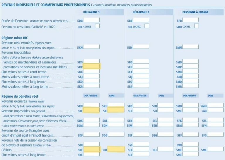 comment remplir le formulaire 2042 c pro auto-entrepreneur