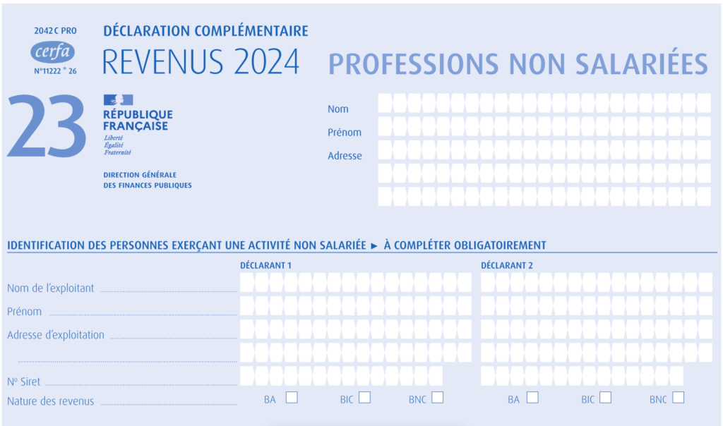 formulaire 2042-C-PRO